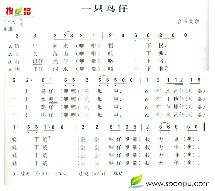 一只鸟仔歌词歌谱图片