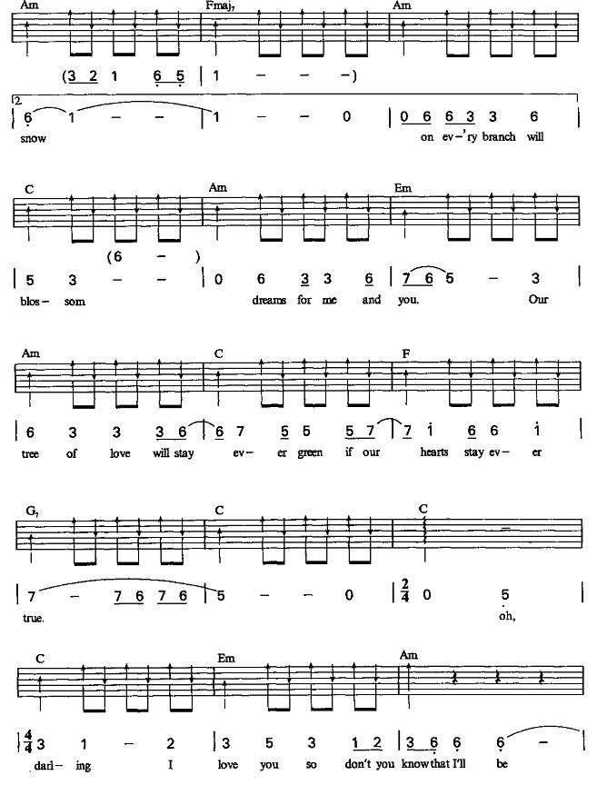 常青树吉他谱（图2）