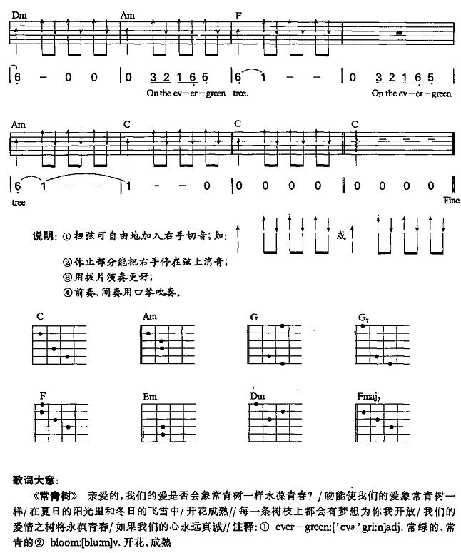 常青树吉他谱（图3）