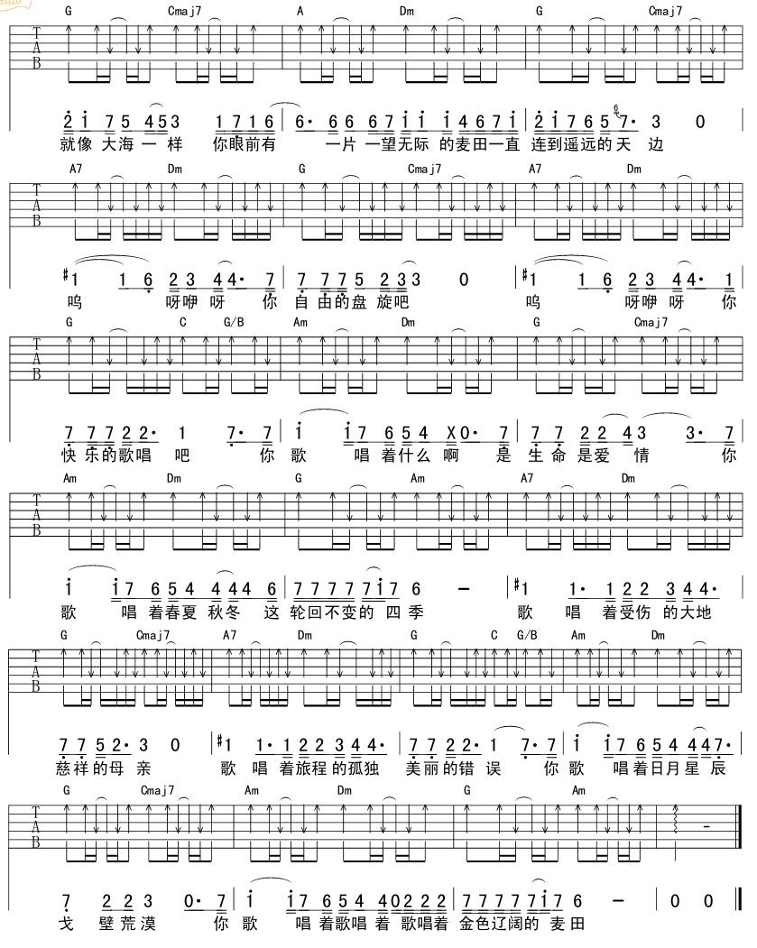 麦田上的乌鸦吉他谱（图3）