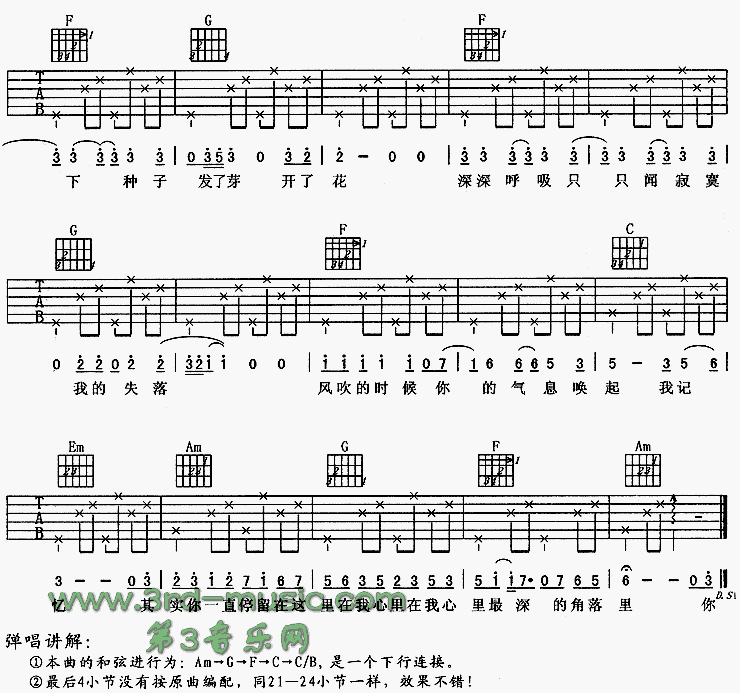 种子吉他谱（图3）