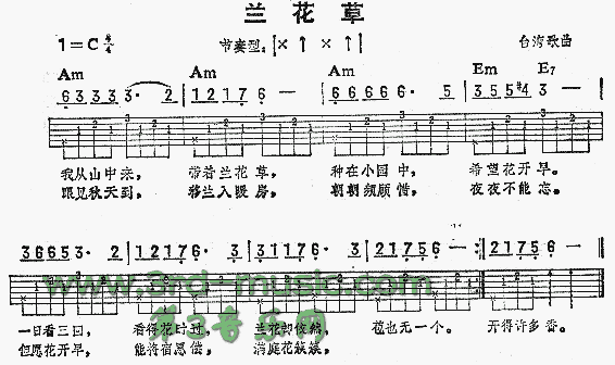 兰花草(台湾民歌)吉他谱（图1）