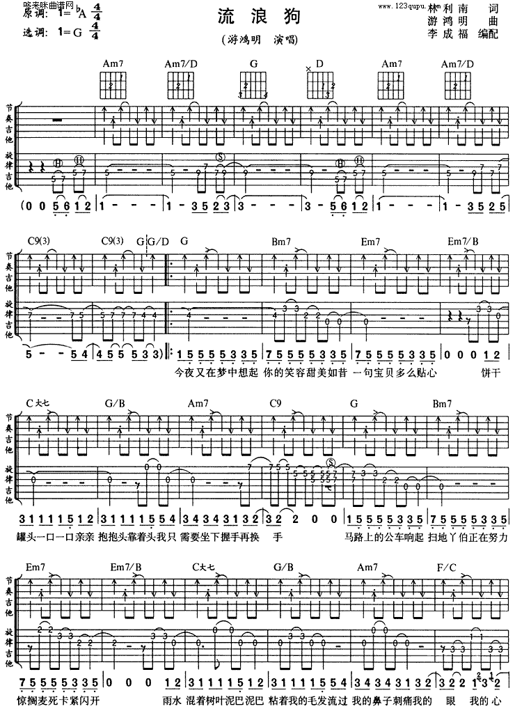 流浪狗 (游鸿明)吉他谱（图1）