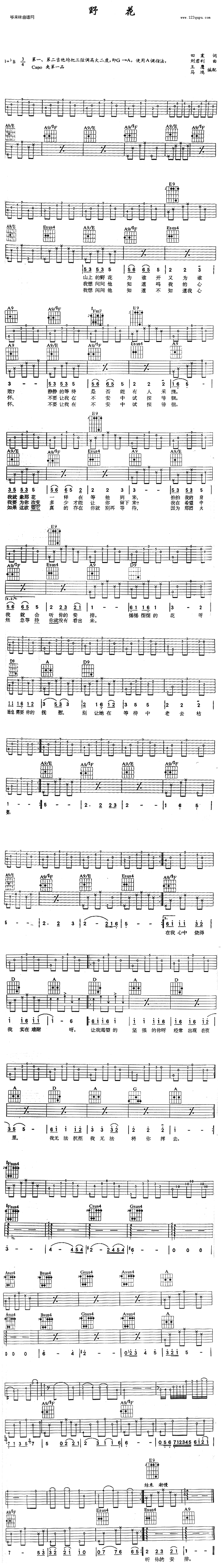 野花 (田震 )吉他谱（图1）