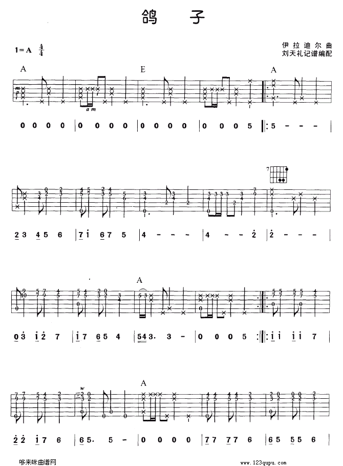 鸽子吉他谱（图1）