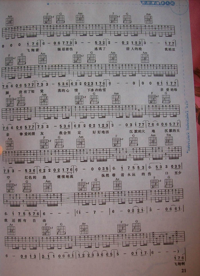 白鸽吉他谱（图2）