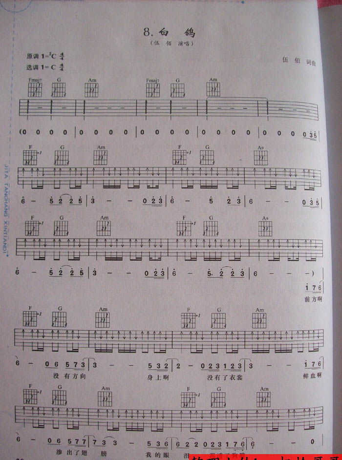 白鸽吉他谱（图1）