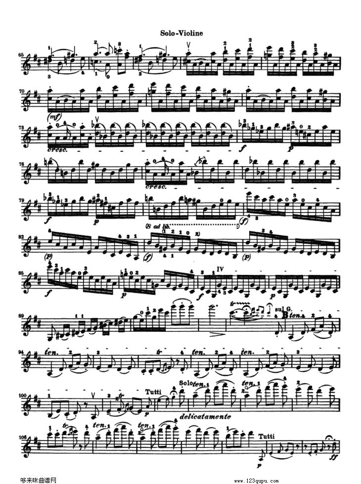 贝多芬小提琴协奏曲(konzert fur violine)其它曲谱（图15）