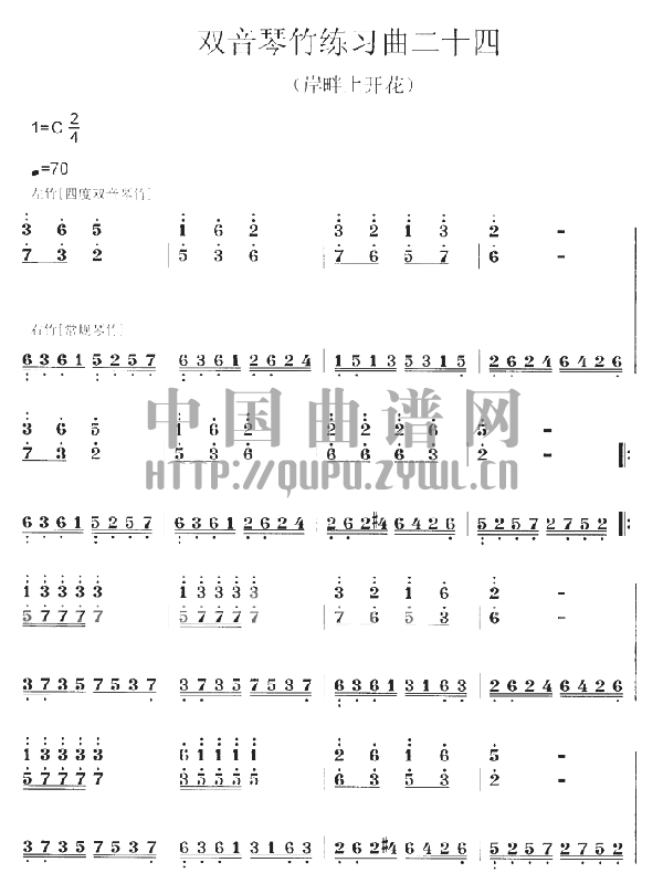 扬琴双音琴竹练习曲 (五)其它曲谱（图1）