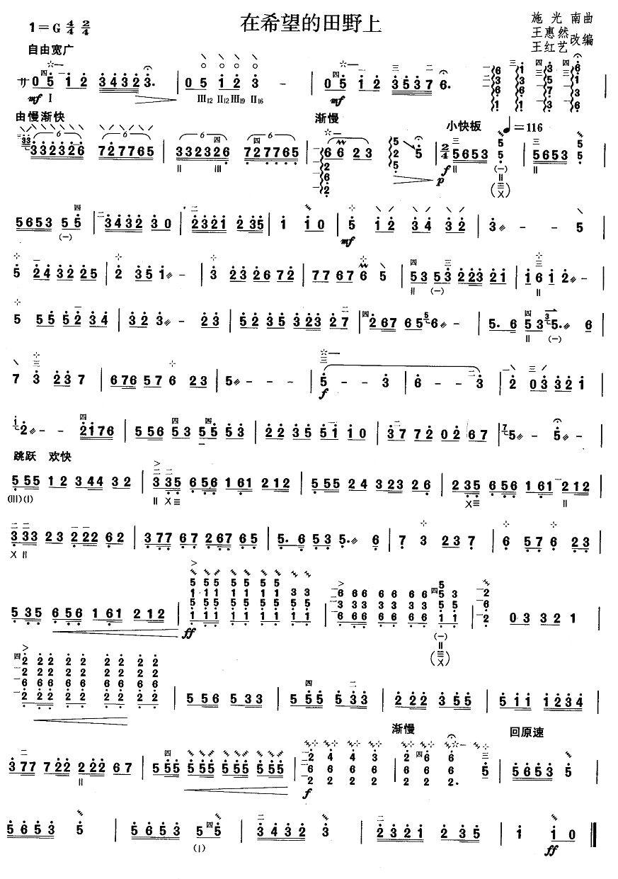 柳琴考级曲目四级：在希望的田野上其它曲谱（图1）
