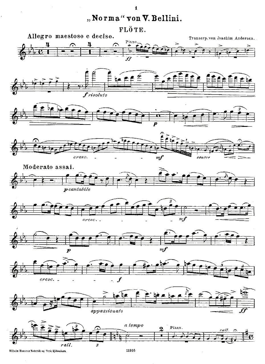 Opern-Transcriptionen.Op.45-2（长笛+钢琴伴奏）其它曲谱（图11）