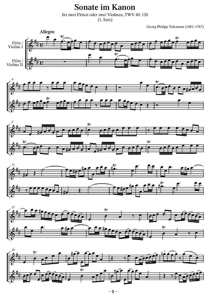 卡农奏鸣曲（二重奏）其它曲谱（图1）