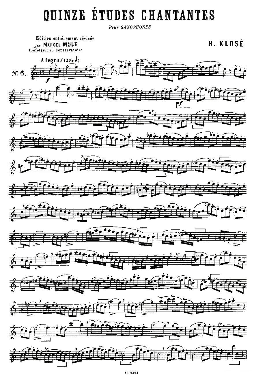 15首如歌的练习曲之6—10其它曲谱（图1）
