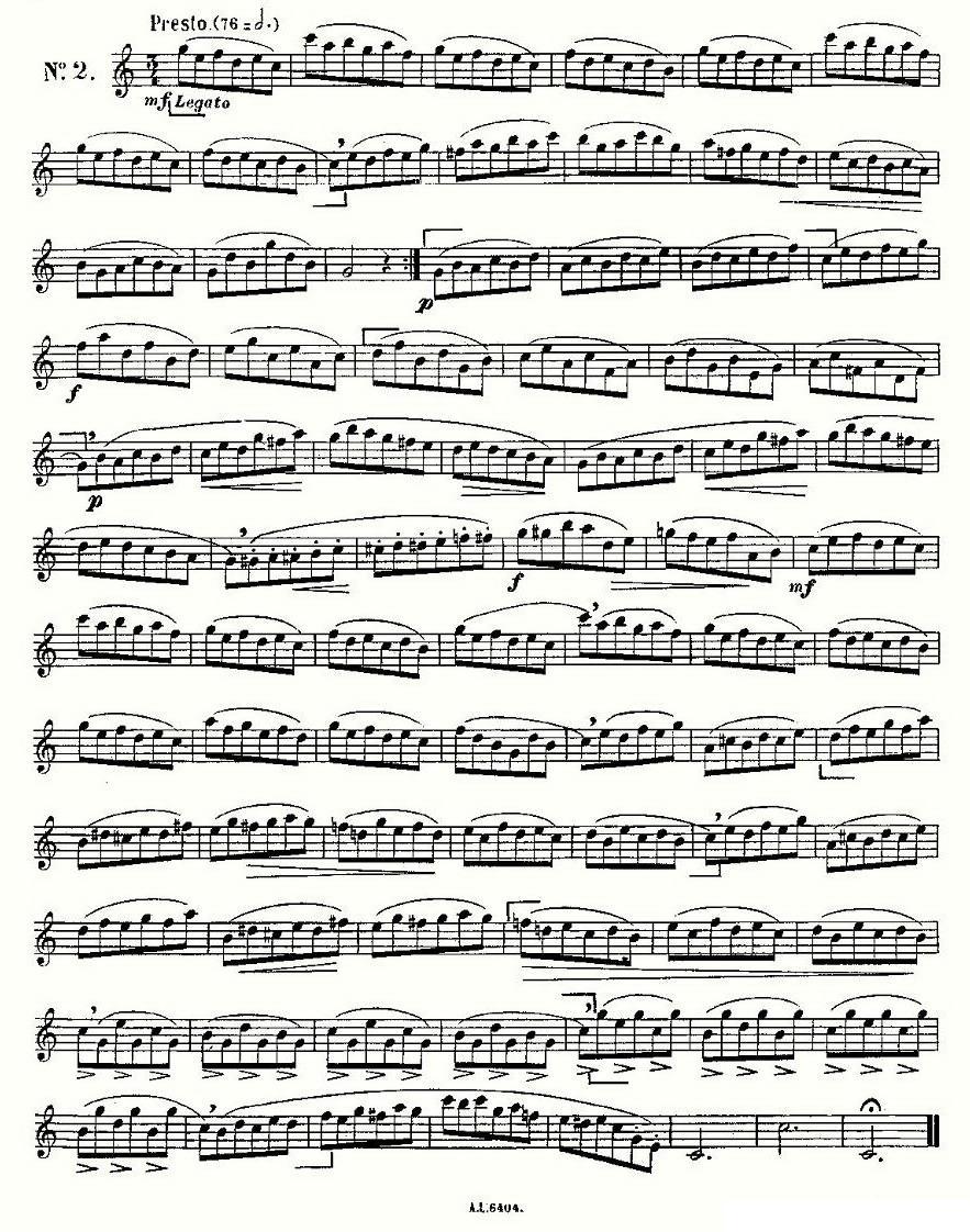 15首如歌的练习曲之1—5其它曲谱（图2）