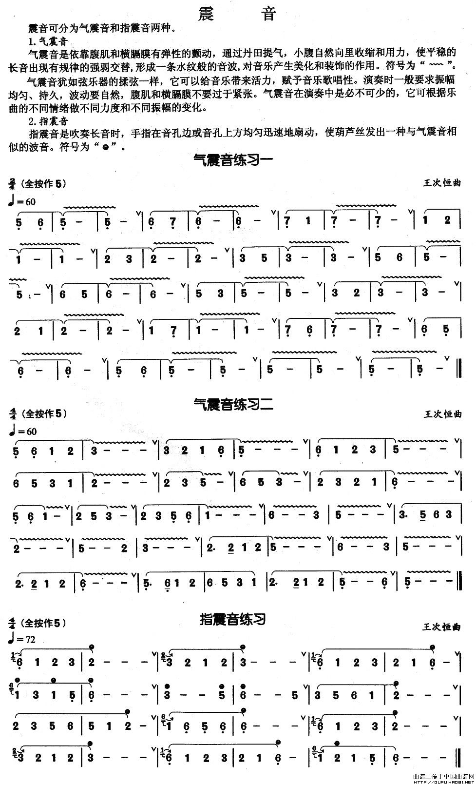 葫芦丝基本技巧练习曲--震音其它曲谱（图1）