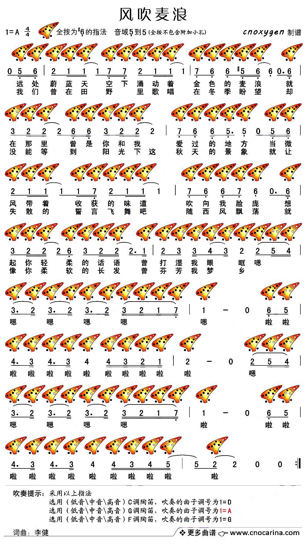 风吹麦浪（十二孔陶笛谱）其它曲谱（图2）