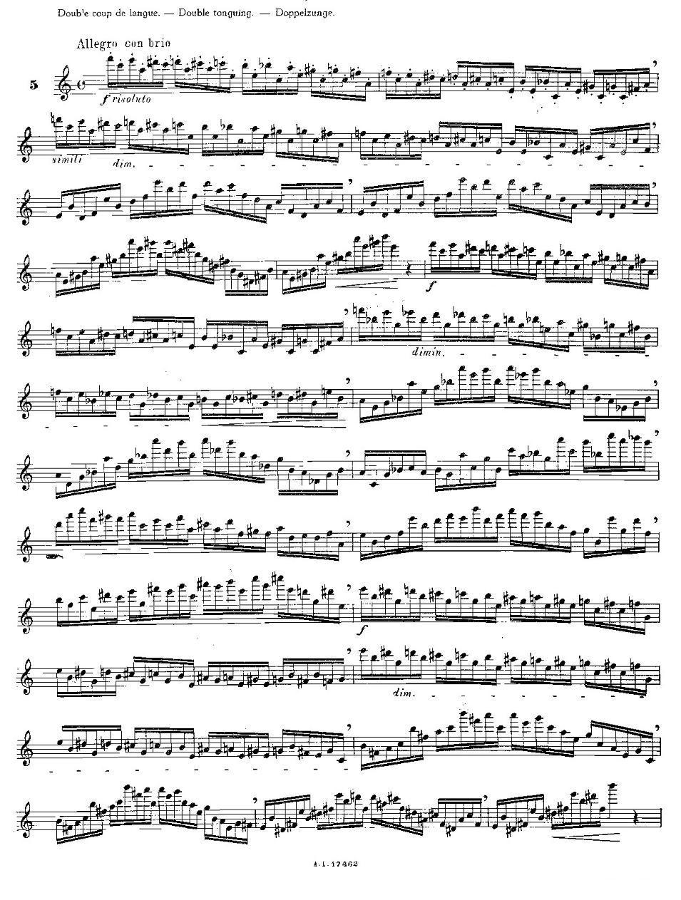 12首大技巧练习曲之5其它曲谱（图1）