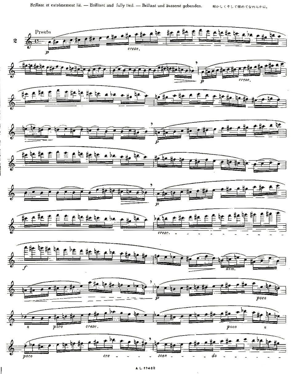12首大技巧练习曲之2其它曲谱（图1）