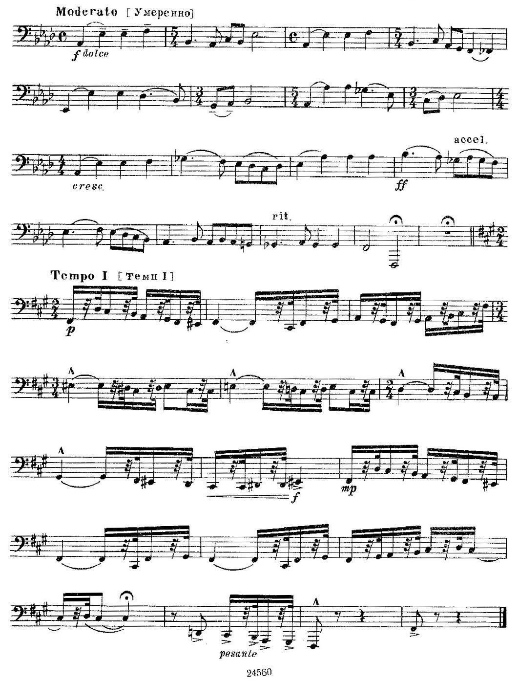 瓦西里耶夫24首大号练习曲集（19—24）其它曲谱（图2）