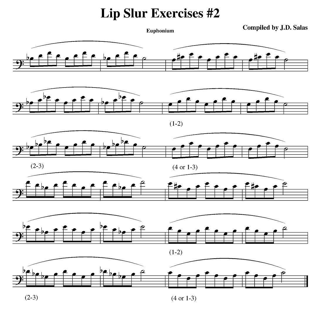 Lip Slur Exercises-Euphonium（大号练习教材选曲）其它曲谱（图2）