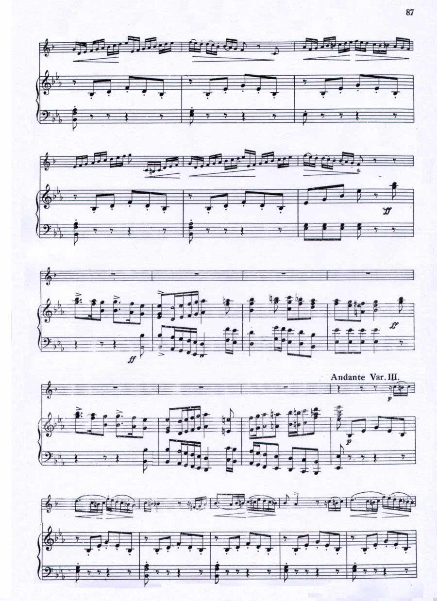 威尼斯狂欢节幻想变奏曲+钢琴伴奏其它曲谱（图9）