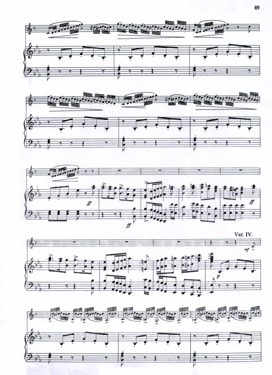 威尼斯狂欢节幻想变奏曲+钢琴伴奏其它曲谱（图11）
