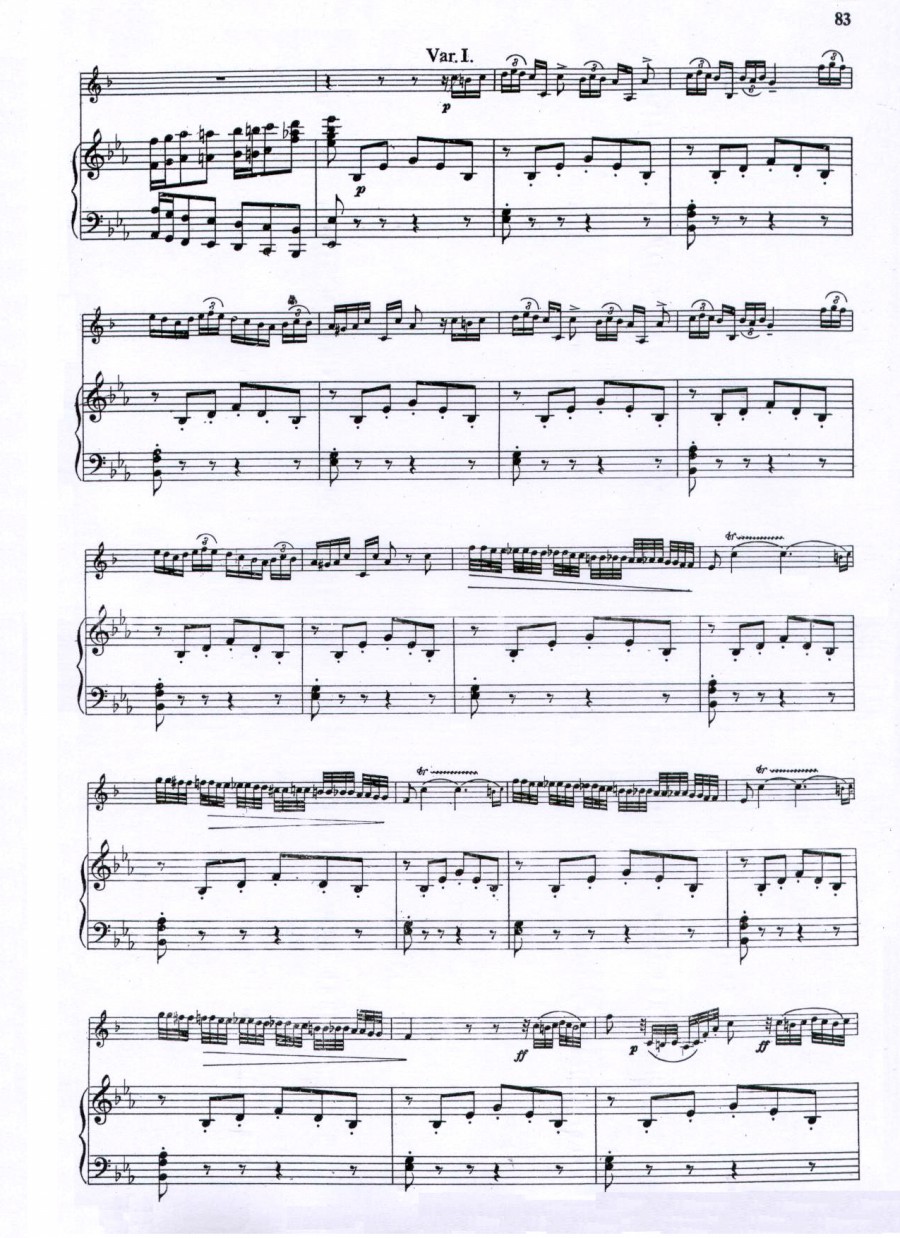 威尼斯狂欢节幻想变奏曲+钢琴伴奏其它曲谱（图5）