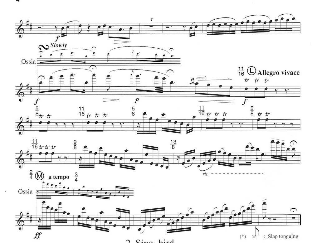 须川展也的《Fuzzy Bird Sonata》(Run, Bird)毛绒鸟奏鸣曲一萨克斯曲谱（图4）