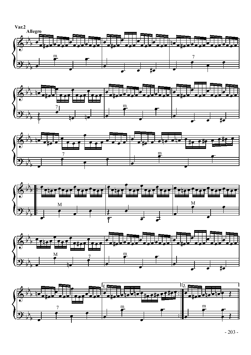 八级乐曲《乌克兰主题变奏曲》 键盘类 手风琴手风琴曲谱（图3）
