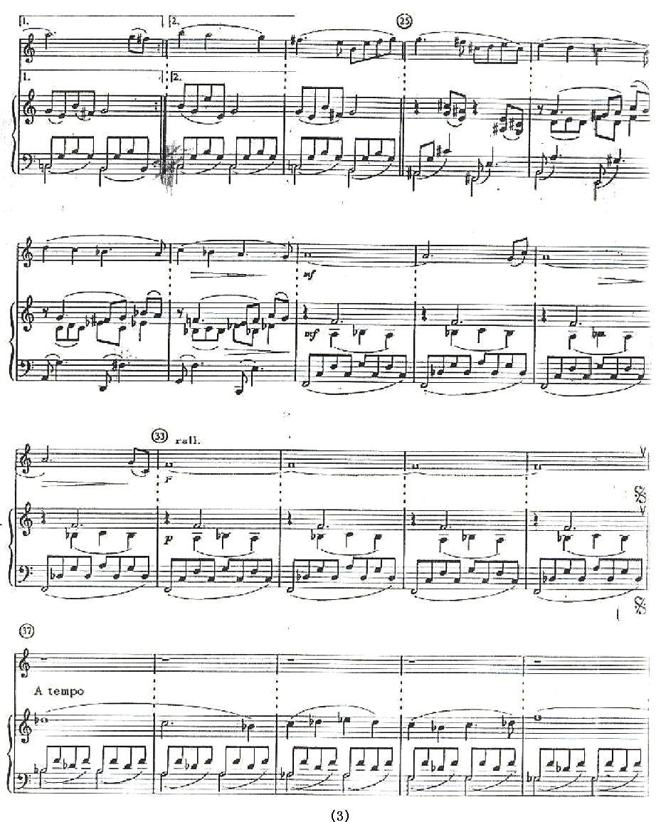 AVE MARIA（万福玛利亚）手风琴曲谱（图3）