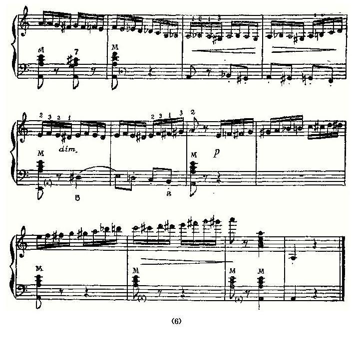 野蜂飞舞（俄罗斯原版谱）手风琴曲谱（图6）