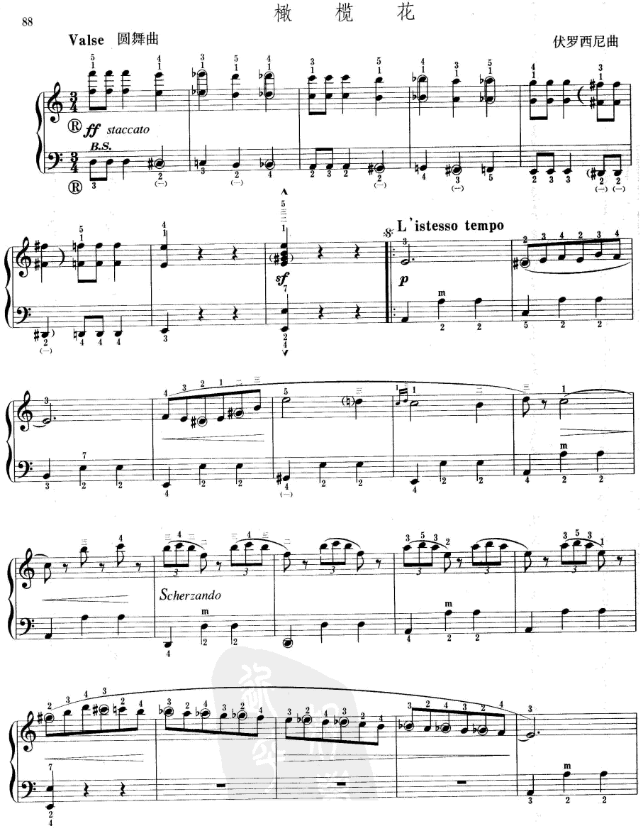 橄榄花手风琴曲谱（图1）