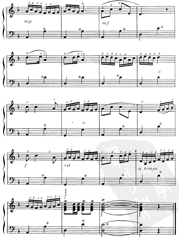 对花手风琴曲谱（图2）