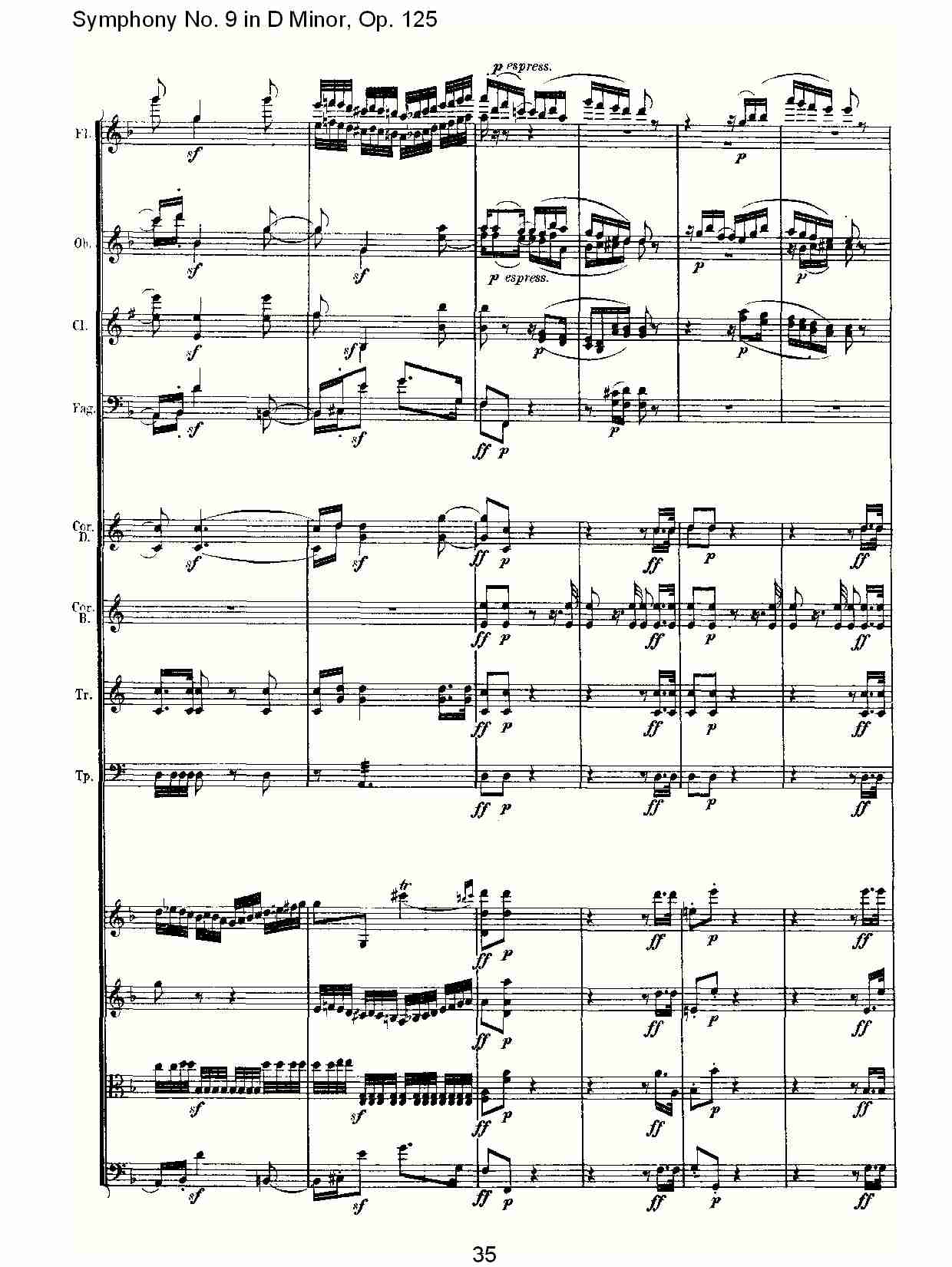 （D小调第九交响曲 Op.125）第一乐章（七）总谱（图5）