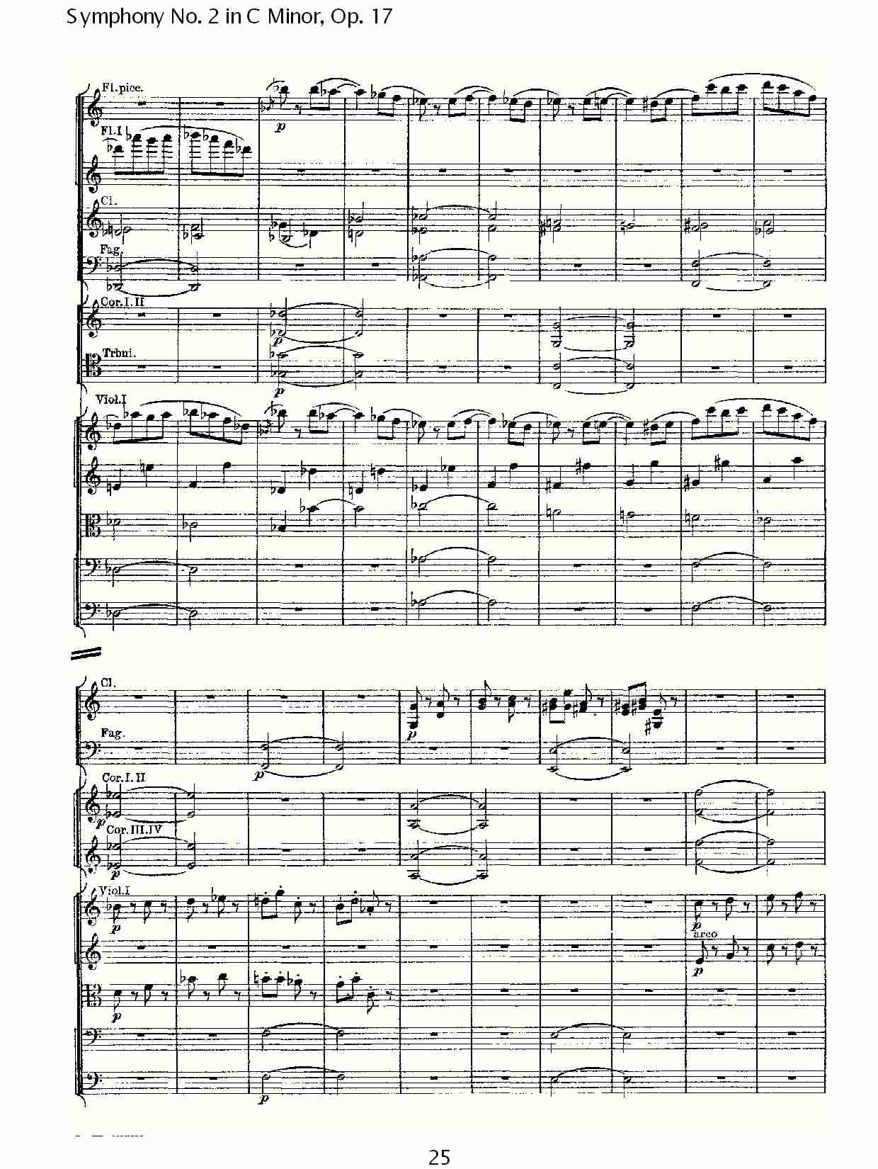 C小调第二交响曲, Op.17第四乐章（五）总谱（图5）