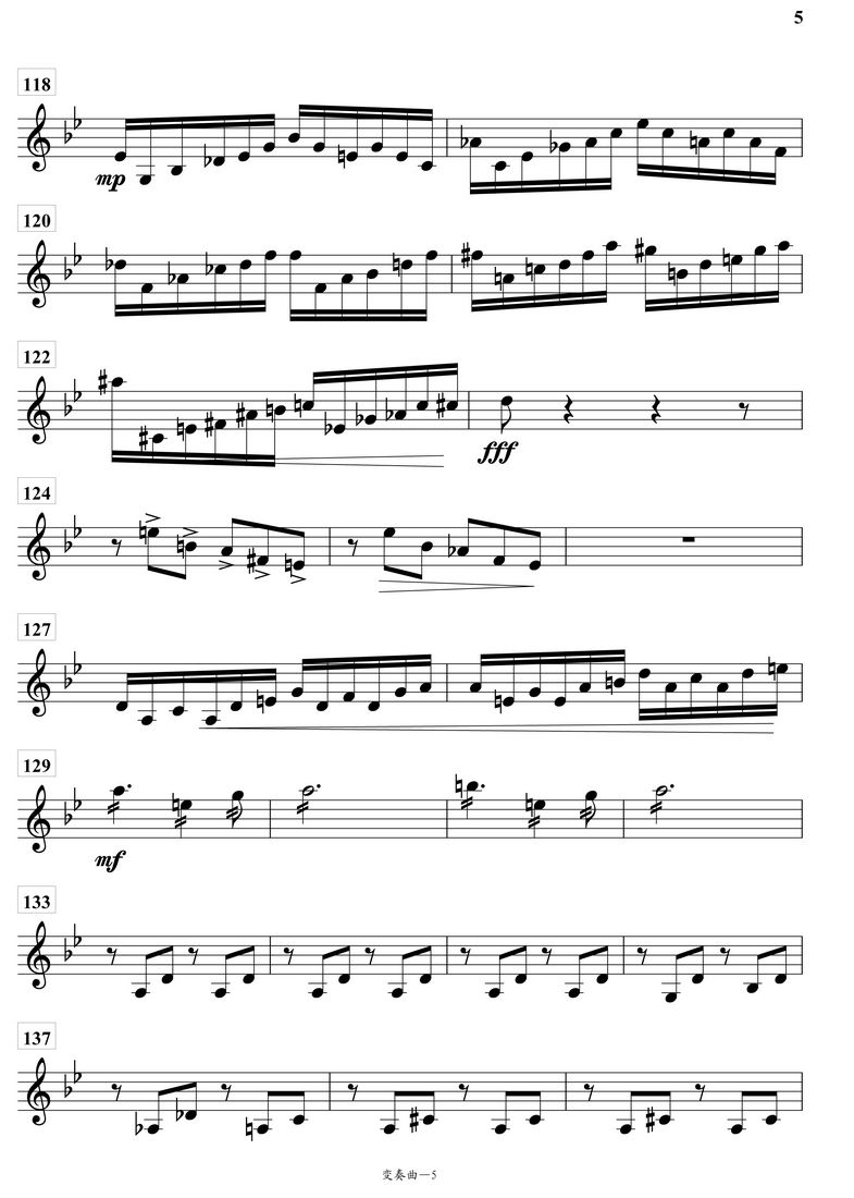 变奏曲琵琶分谱总谱（图5）