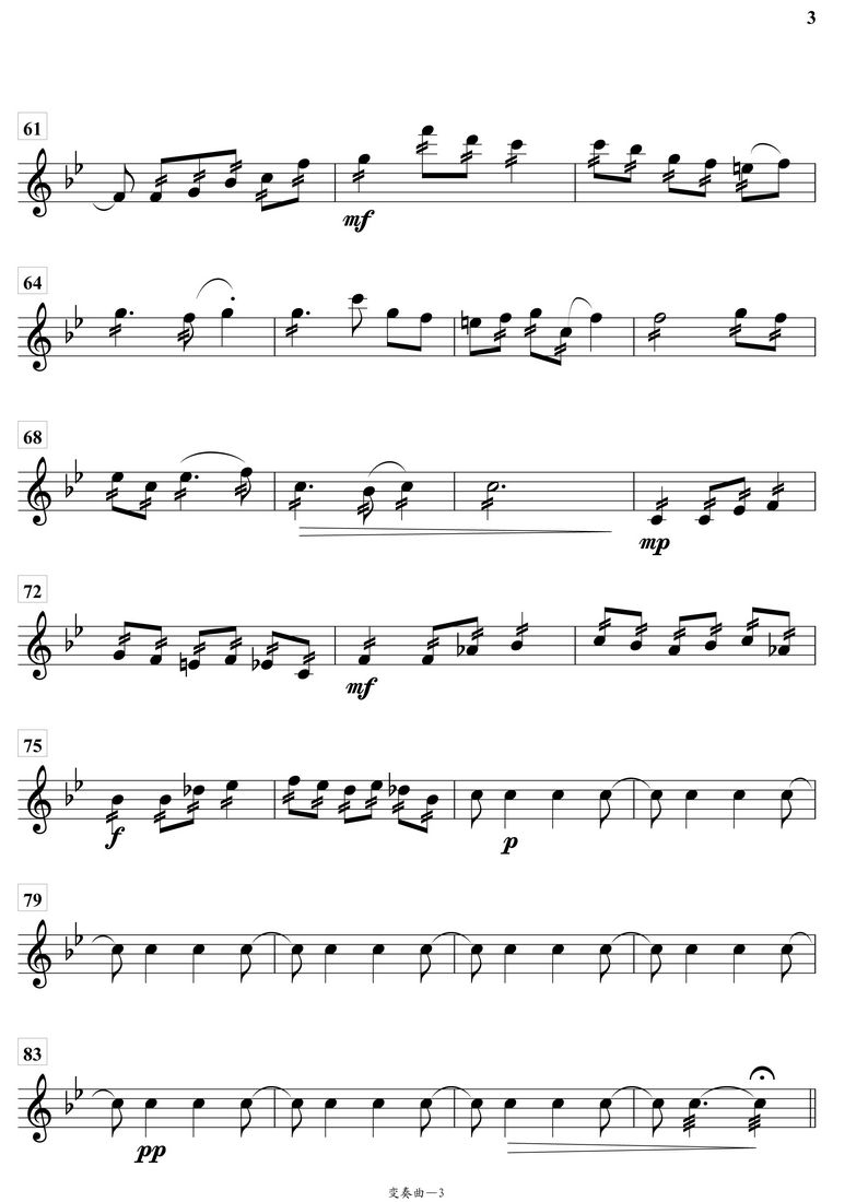 变奏曲琵琶分谱总谱（图3）