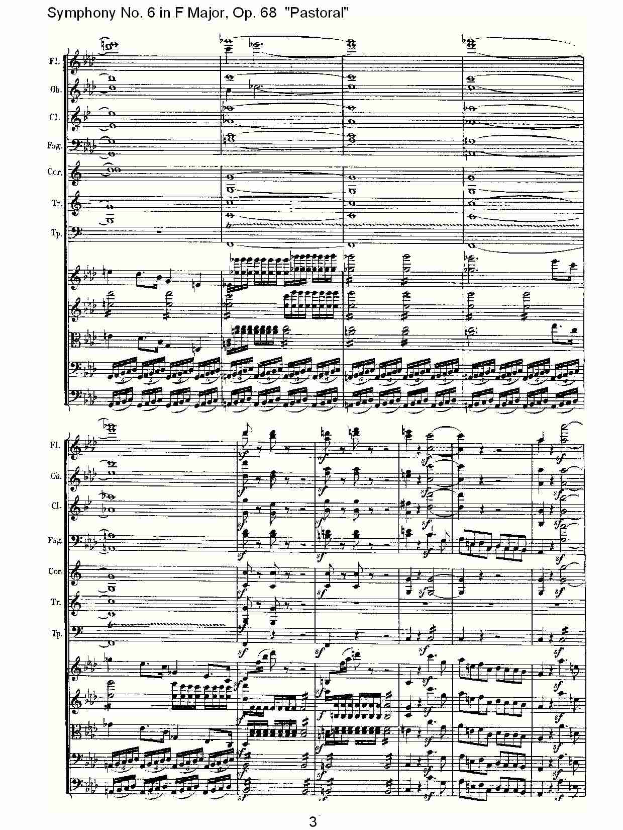 F大调第六交响曲 Op.68 “田园” 第四乐章总谱（图2）
