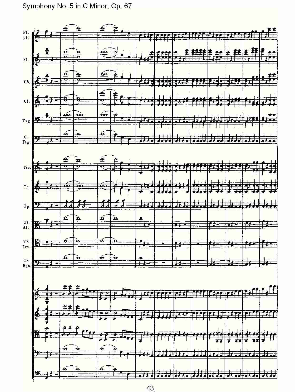 C大调第五交响曲 Op.67 第四乐章总谱（图43）