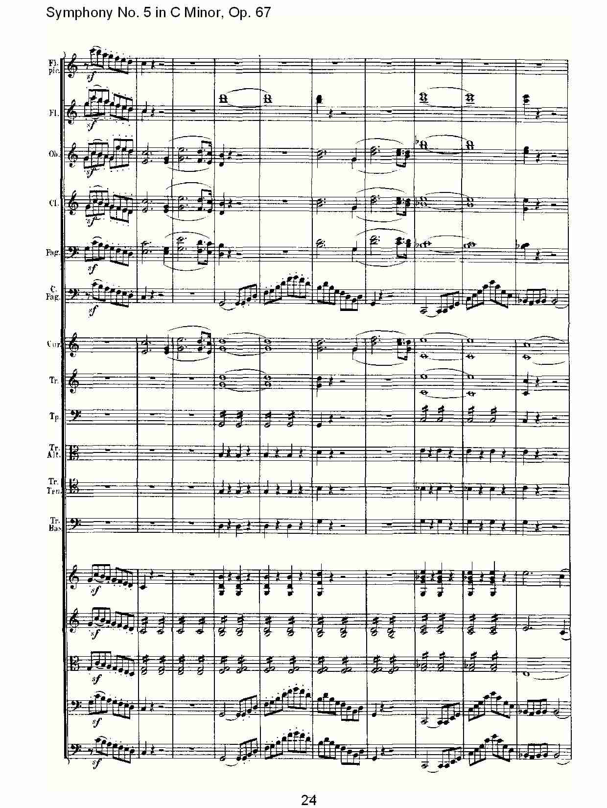 C大调第五交响曲 Op.67 第四乐章总谱（图24）